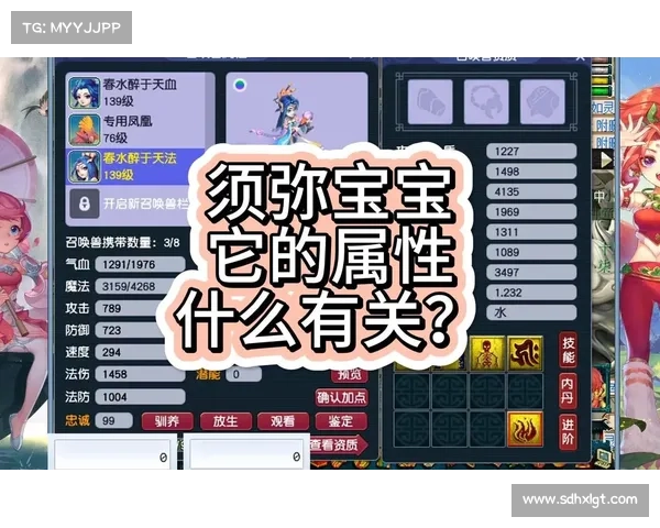 宝宝练级全攻略 梦幻西游最佳练级地点推荐与路线解析 宝宝练级全攻略 梦幻西游最佳练级地点推荐与路线解析