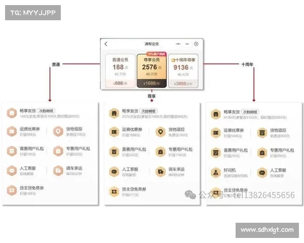 如何轻松获得免费黄钻并享受专属特权与增值服务详解 如何轻松获得免费黄钻并享受专属特权与增值服务详解