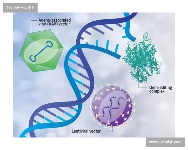 中国足球何时能够突破瓶颈跻身亚洲顶尖行列实现飞跃发展