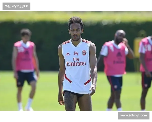 奥巴梅扬拒绝法国队背后的身份认同与非洲血统归属深层原因分析